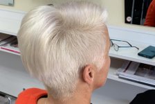 FigaroInLeobersdorfFotoPrinz